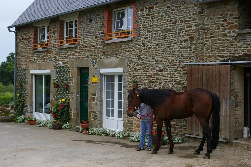 Sacey Marie France 'S Home מראה חיצוני תמונה